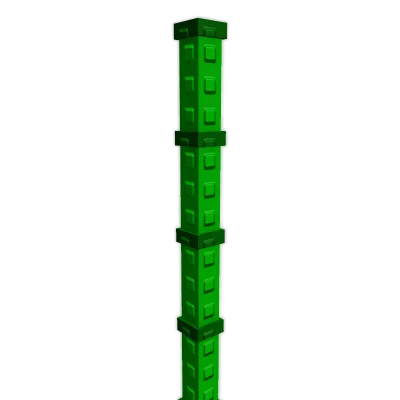 Bamboo